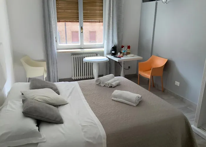 Domus Dotta New
